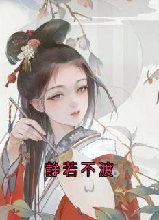 主角岁娘柳静和燕茴的小说