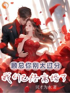 顾瑾衡陆语婳高惜月全本章节阅读
