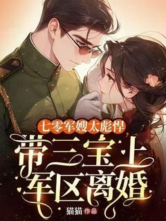 《七零军嫂太彪悍，带三宝上军区离婚》小说沈清落陈桂花陆有为最新章节阅读