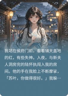 陆怀执叶昭苏叶小说无广告阅读