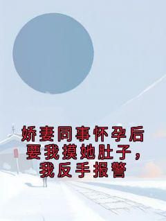 娇妻同事怀孕后要我摸她肚子，我反手报警未删减阅读