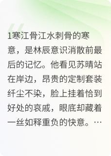 苏晴林辰小说 重生之再来精选章节