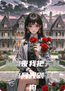 沈兰若徐韶仪的主角名小说叫什么