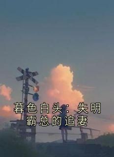 暮色白头：失明霸总的追妻全本章节阅读