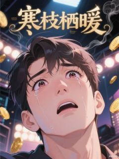 《寒枝栖暖》顾默尘江宁安小说全部章节目录