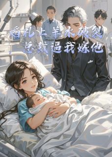 婚礼上羊水破裂，总裁逼我嫁他by辑魔上校 傅北辰赵霆宇苏欣然免费阅读