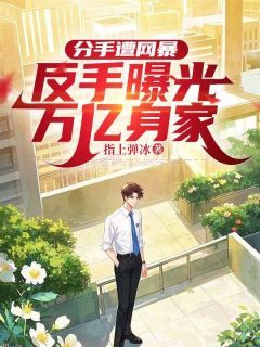 【抖音】小说分手遭网暴，反手曝光万亿身家无广告阅读