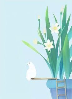 【抖音】小说阮秋玥司南曜无广告阅读