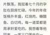 (完本)大结局小说《大年三十，我为渣夫打掉了孩子》在线阅读