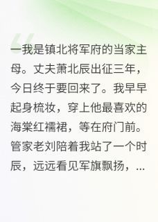 小说将军归来带回一个穿越女txt全文在线阅读