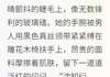 无广告小说疯犬与红烛 沈知衍苏晚晴在线阅读