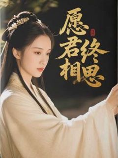 文无《愿君终相思》在线阅读