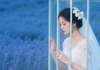 【抖音】《我是囚笼新娘》秦之宴沈美柔沈渺渺免费试读