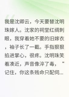 替嫁丫鬟，他藏了十年的爱小说