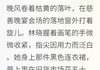 【完结版】《爱殇：情断繁华梦主角林晓陆逸辰沈曼青章节在线阅读