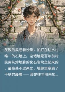 《石墙上的血与藤》泽泽石墙小说全部章节目录