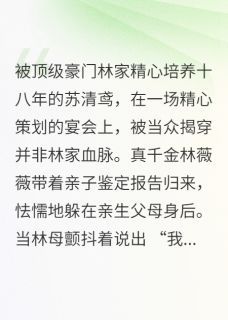 免费试读主角苏清鸢沈聿小说