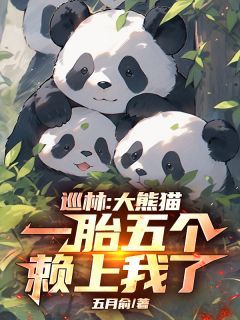 主角沈星熊猫的小说