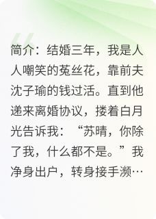 主角沈子瑜林薇薇 小说被甩后，我成了他高攀不起的大佬在线阅读