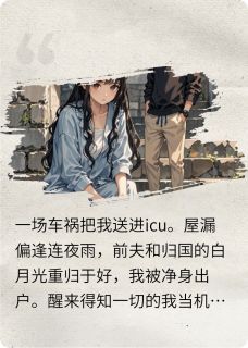 (独家)离婚后，前夫儿子向我表白小说