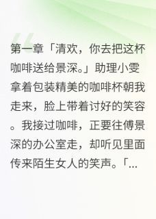 南风叙晚新书 主角清欢叶城傅景深在线阅读