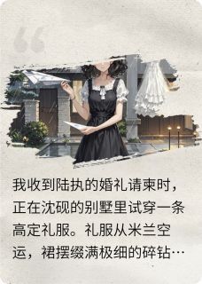 (爽文)他婚礼那天我亲手拆掉了我的天梯全本章节阅读