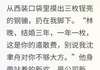 完结《和总裁离婚后，我继承了千亿冥币》沈聿舟胡雪岩林晚小说全章节目录阅读