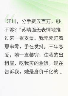 小说女友买条项链花了我十年工资无广告阅读
