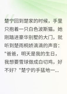主角楚宁楚雨桐的小说