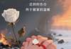 修墓人新书 主角苏清沅沈聿风在线阅读