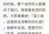 小说金主的替身新娘全本阅读