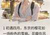 樱花葬·烬色书小说_(顾辰林夏)完整版阅读