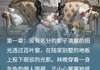 最新小说《晚来的忠犬》大结局阅读