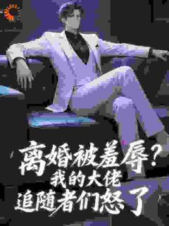 《离婚被羞辱？我的大佬追随者们怒了》全章节小说_江凡顾清雪全文阅读