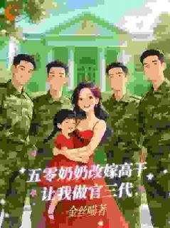 (无弹窗)小说五零奶奶改嫁高干，让我做官三代 作者金丝喵