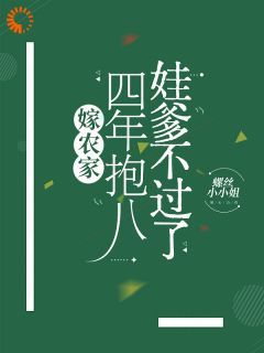 嫁农家，四年抱八，娃爹不过了苏念齐砚全本小说章节目录阅读