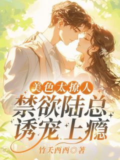 美色太撩人，禁欲陆总诱宠上瘾 美色太撩人，禁欲陆总诱宠上瘾第20章