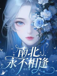 (爽文)南北永不相逢全本章节阅读